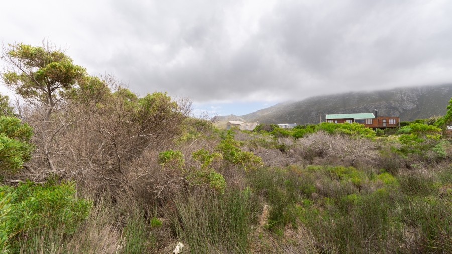 0 Bedroom Property for Sale in Bettys Bay Western Cape